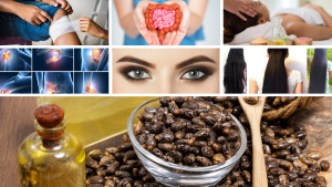 Castor Oil Benefits for Hair, Skin, Joints and Digestion in Telugu