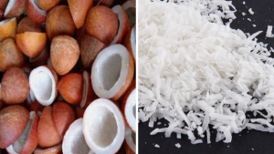 Dried Coconut Benefits and Side Effects – Who Should Avoid Dry Coconut