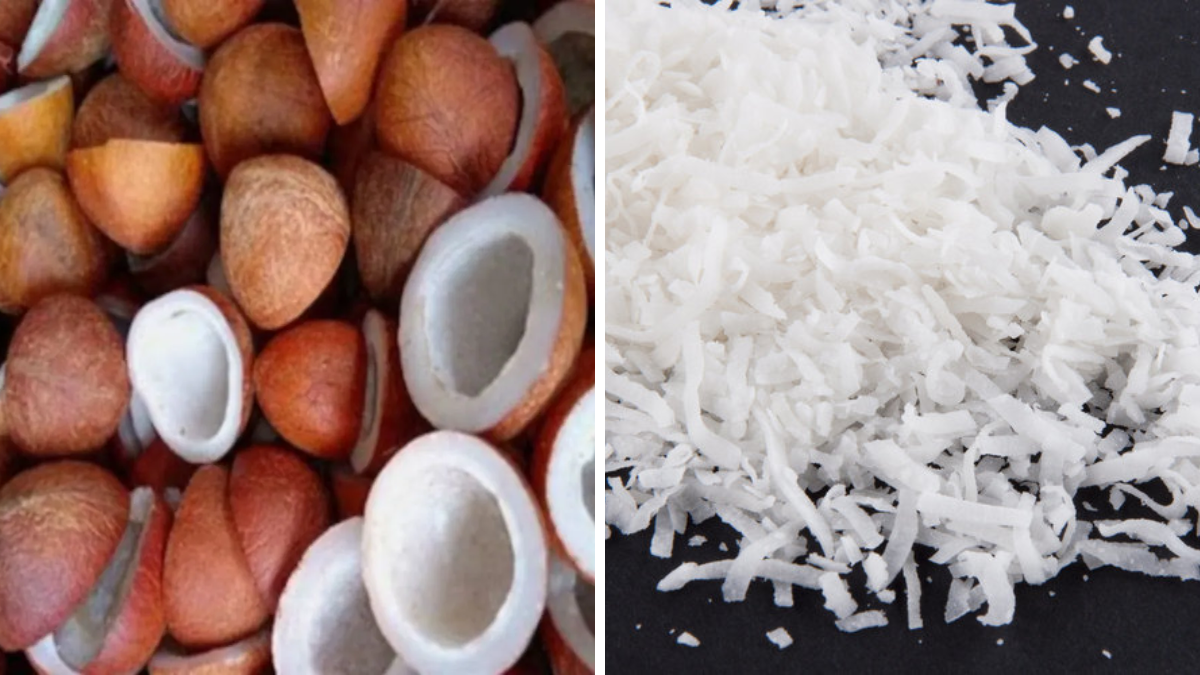 Dried Coconut Benefits and Side Effects – Who Should Avoid Dry Coconut
