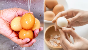 Eggs