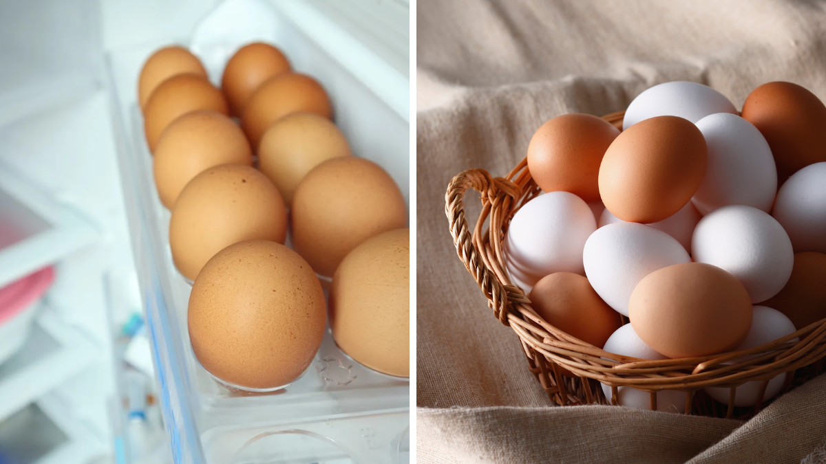 Eggs