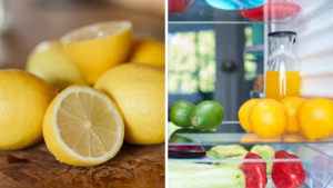 Lemon Slice