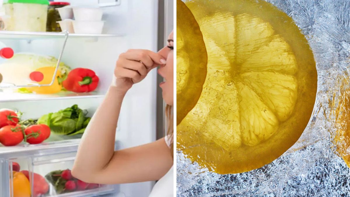 Lemon Slice in Refrigerator for Removing Bad Smell Naturally