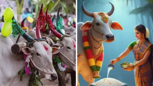 Kanuma Festival Significance and Traditions in Telugu Culture