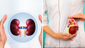 Kidney health