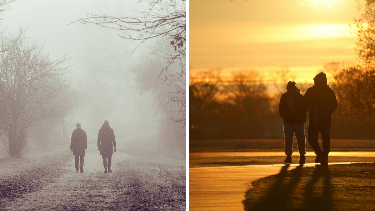 Morning Walking
