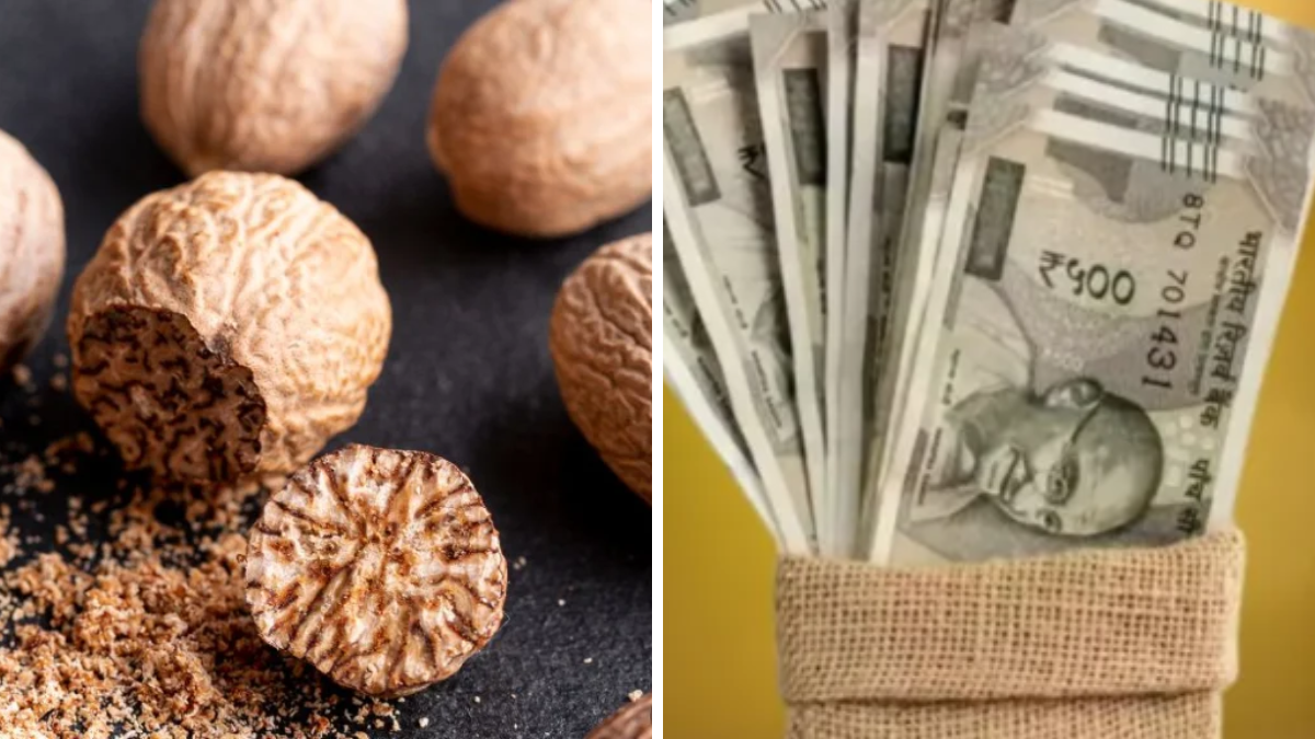 Nutmeg Vastu Remedies for Wealth, Luck and Financial Growth