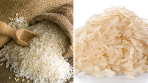 Rice