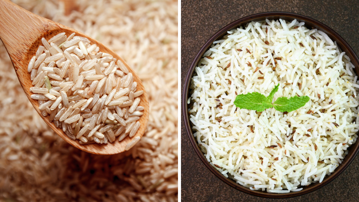 Rice
