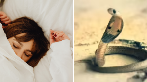 Snake Dream Meaning in Telugu | కలలో పాము కనిపిస్తే ఏమని అర్థం?