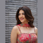 సంప్రదాయ లుక్లో ఆకట్టుకున్న నటి మెహ్రీన్ పిర్జాదా