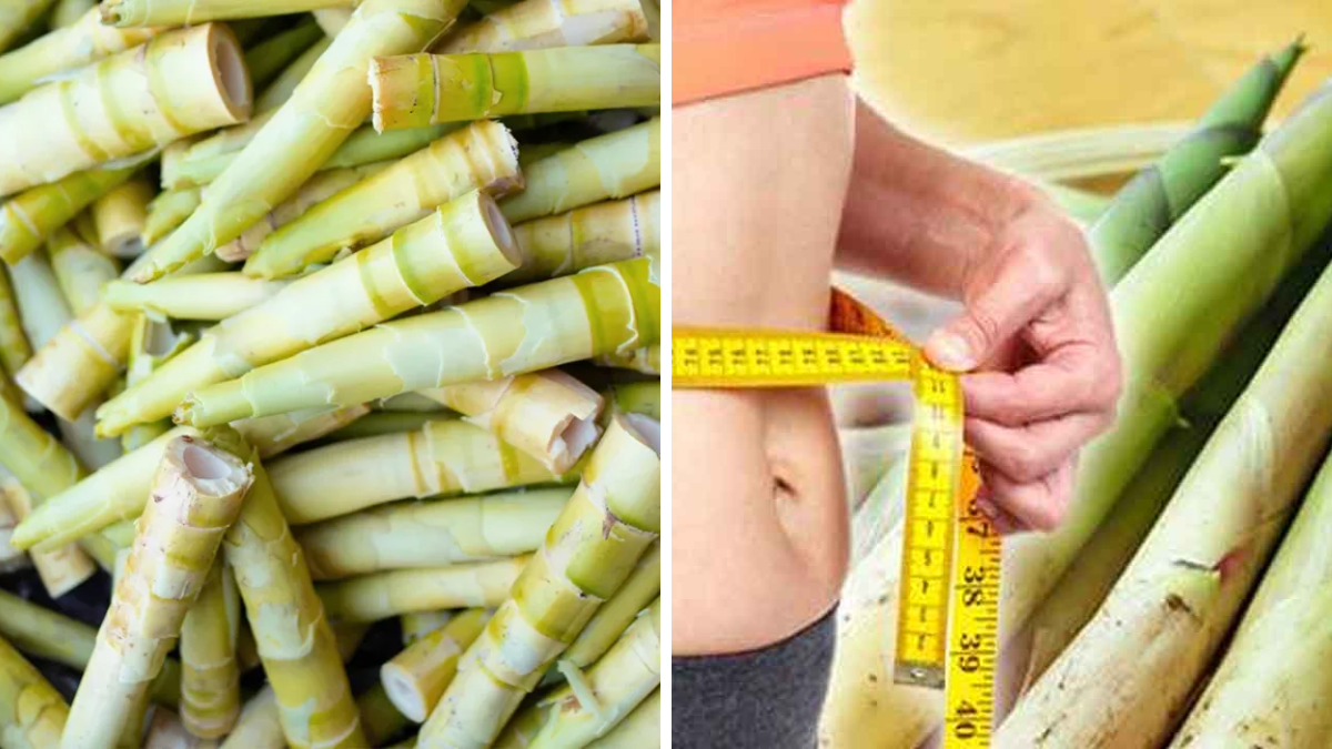 Bamboo Shoots Health Benefits in Telugu