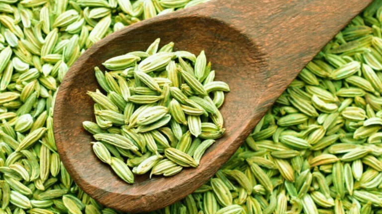 Fennel seeds served after meals for digestion and health benefits
