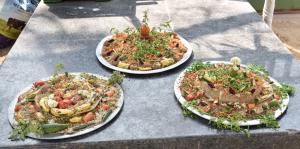 Nehru Zoological Park celebrates World Hippo Day with 20 kg special nutrition cakes for four hippos