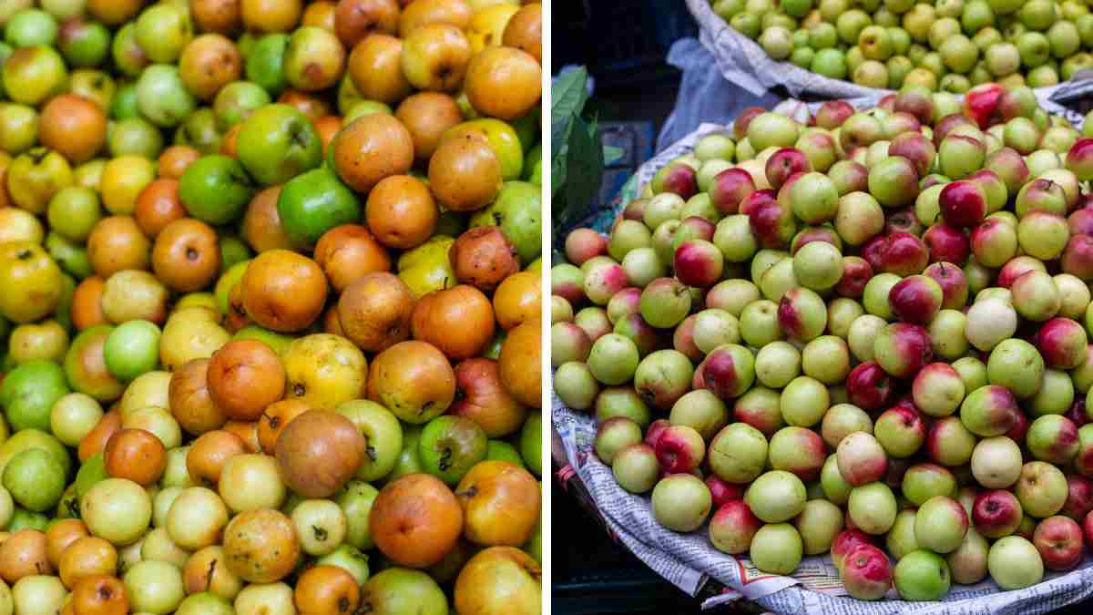 Jujube Fruit Health Benefits for Brain, Liver and Heart