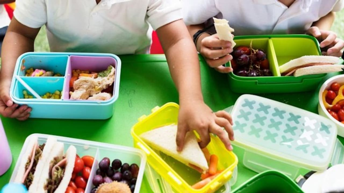Plastic Lunch Box Health Risks