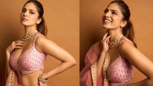 Malavika mohanan latest hot photos