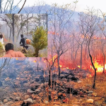 Wildfire Alert 2026: నల్లమలలో 24 గంటలుగా మంటలు అదుపులోకి రాలేదు… వందల హెక్టార్లు దగ్ధం?