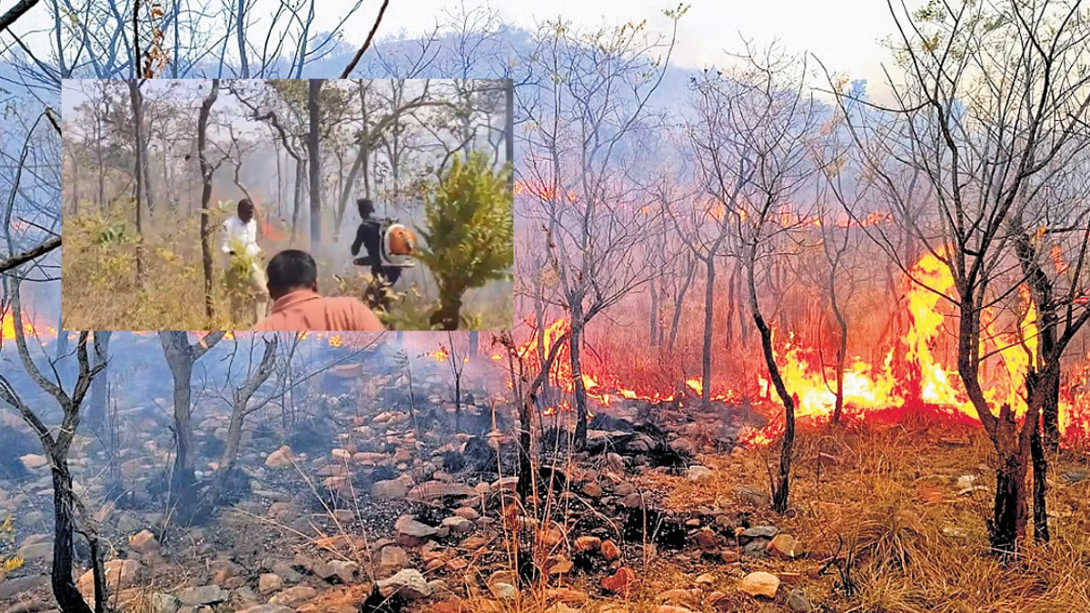 Nallamala Forest Fire