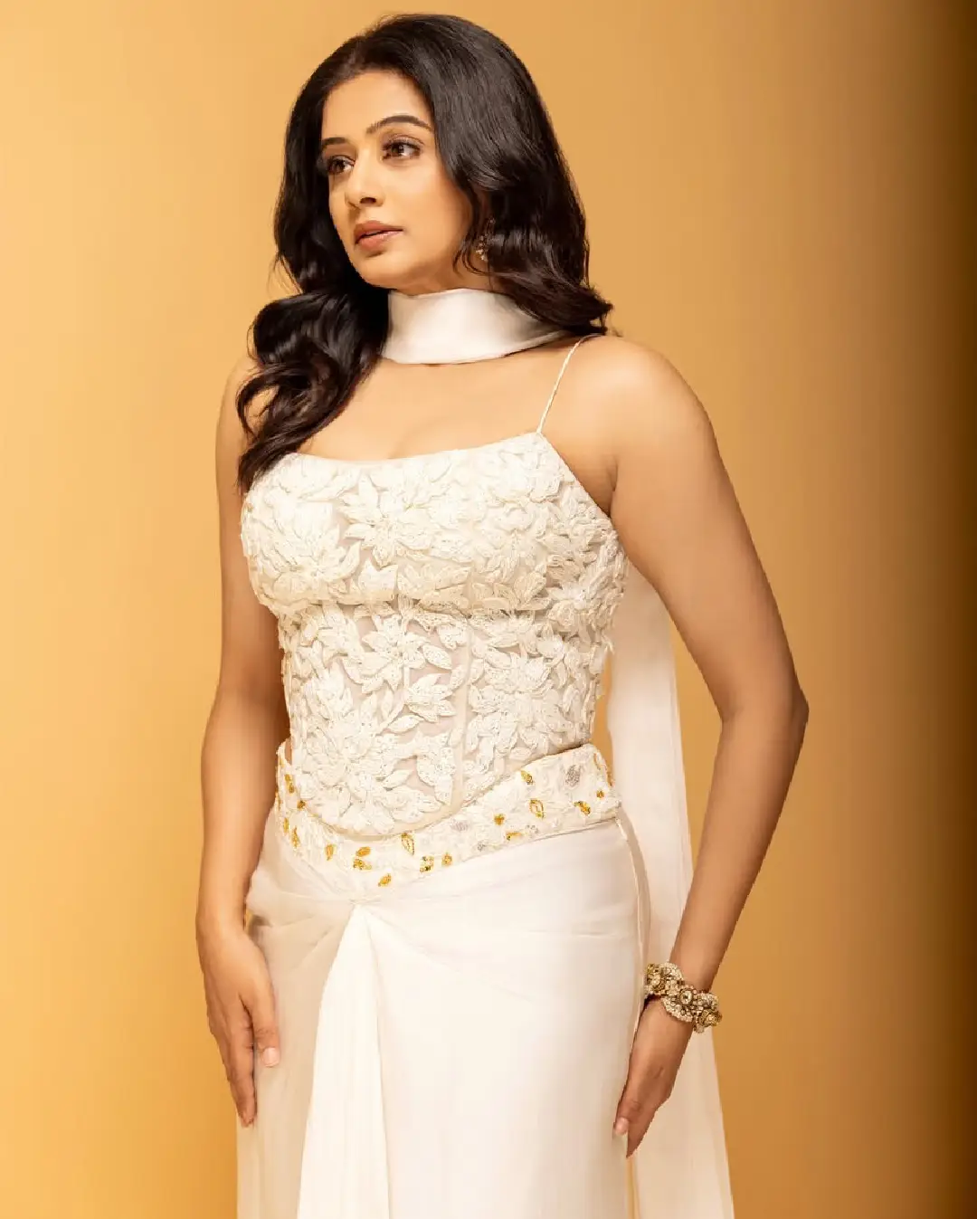 Priyamani latest photo gallery