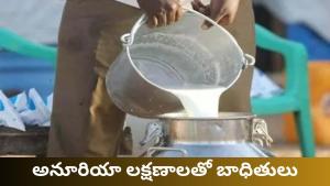 Rajahmundry Adulterated Milk Case