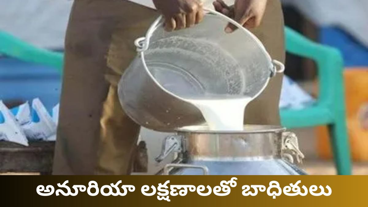 Rajahmundry Adulterated Milk Case