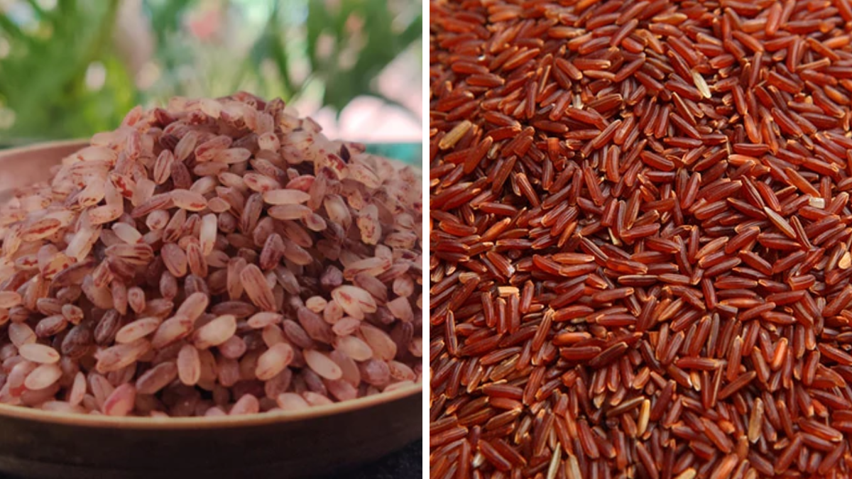 Red Rice Healthy Superfood for Diabetes and Weight Loss