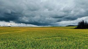 Best Winter in a Decade Ends as Telangana Prepares for Unseasonal Rains