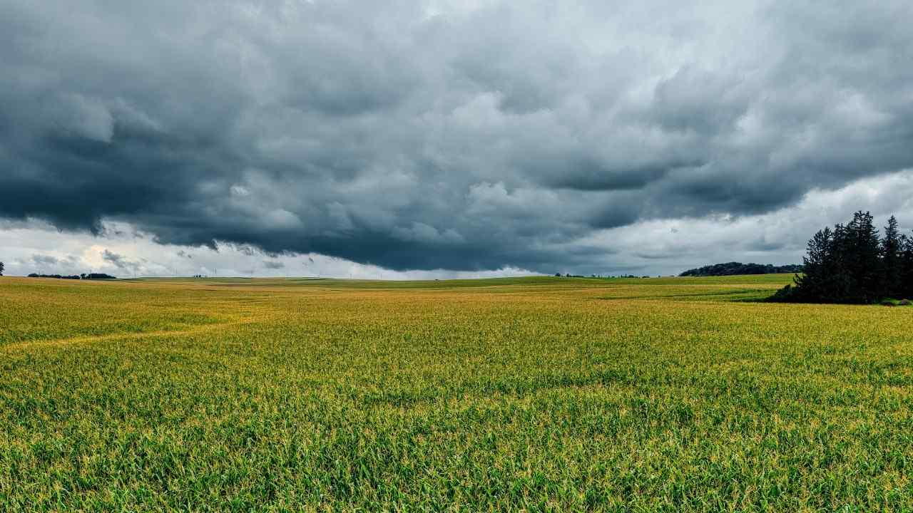 Best Winter in a Decade Ends as Telangana Prepares for Unseasonal Rains