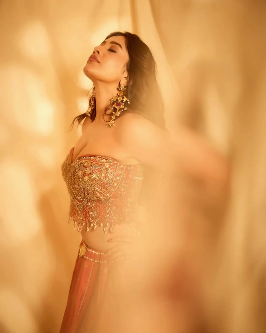 nabha natesh latest hot photos