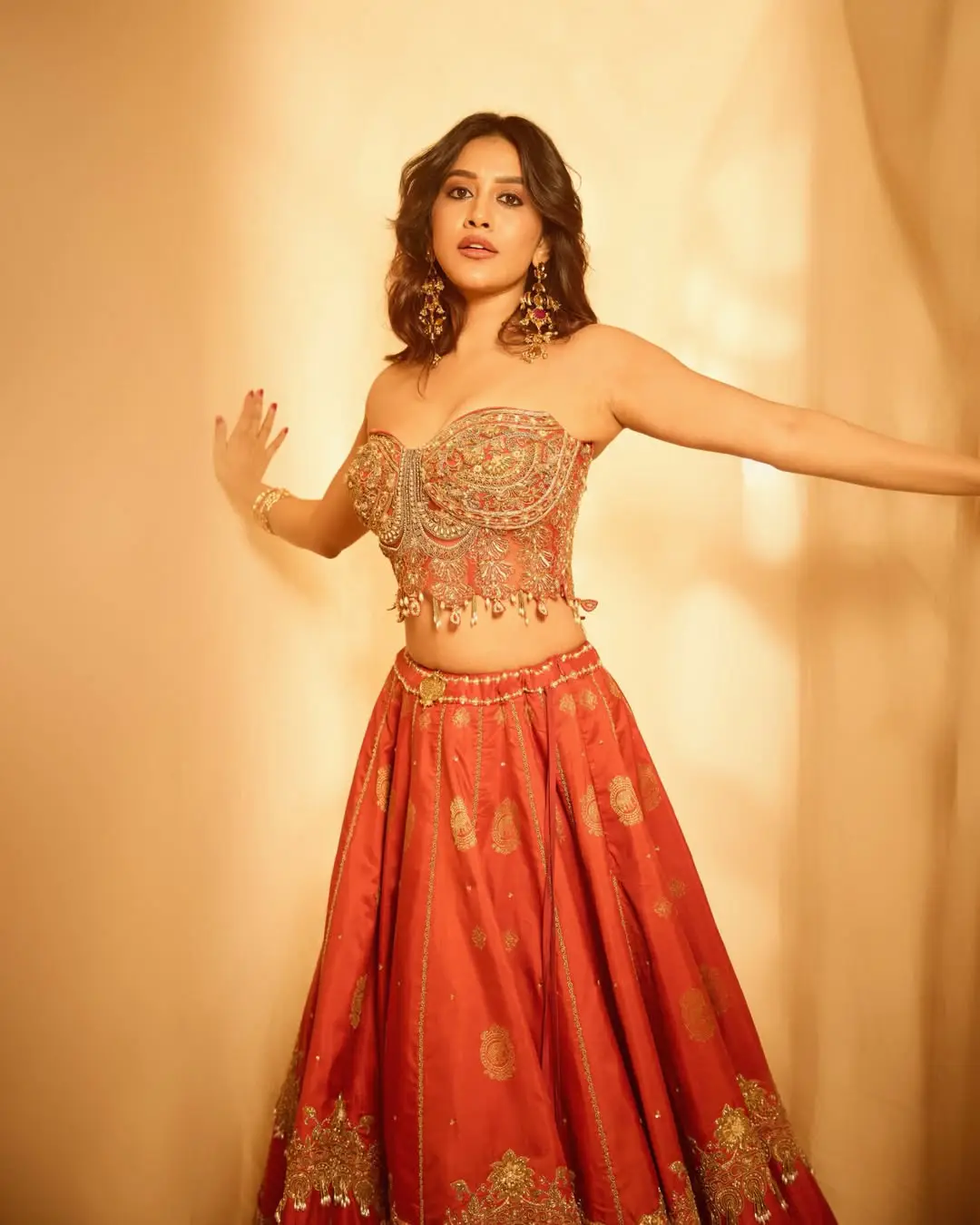 nabha natesh latest hot photos