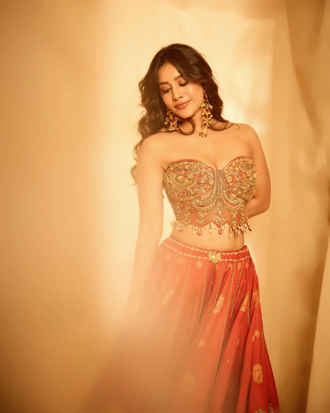 nabha natesh latest hot photos