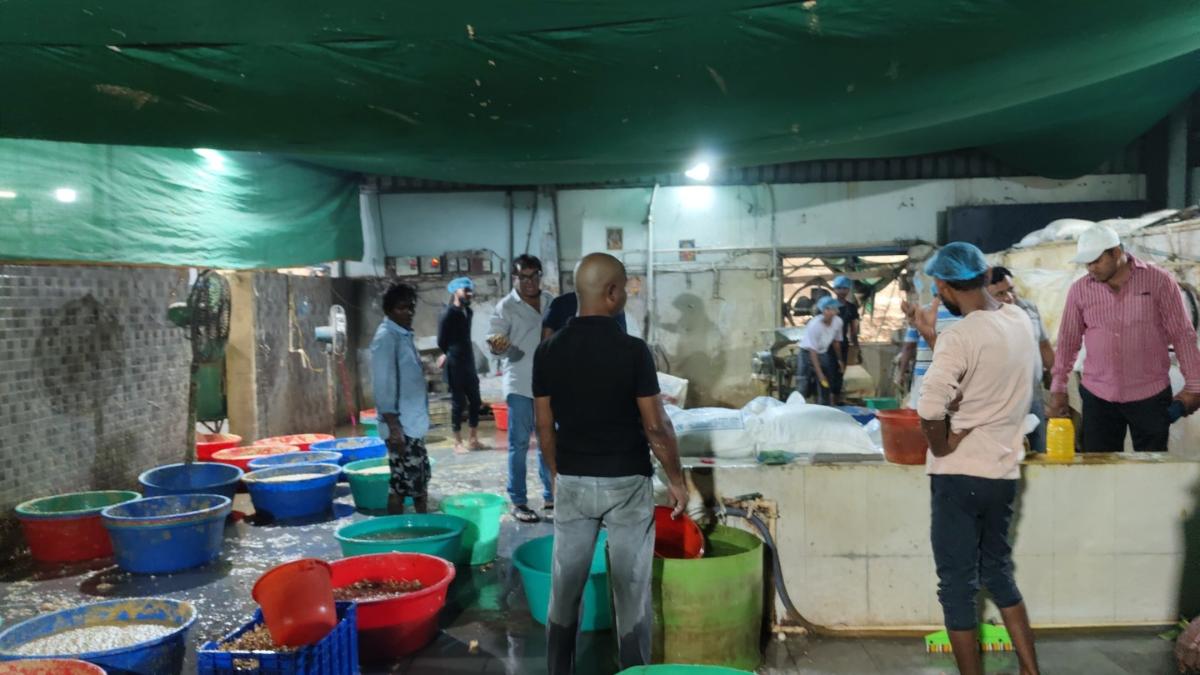 Adulterated Food Hyderabad ginger garlic paste seized police raid