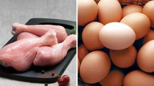 Chicken Price Today Andhra Pradesh-egg Price Today Andhra Pradesh