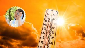 March Heat Wave India