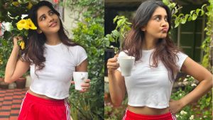 Nabha natesh latest photo gallery