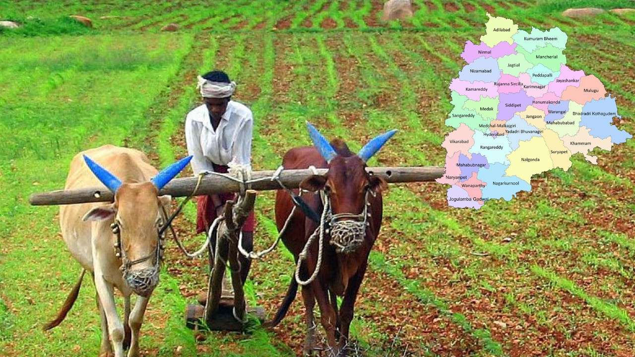 Telangana Farmers Subsidy