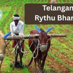 Telangana Rythu Bharosa : రైతు భరోసా నిధుల విడుదలకు శ్రీకారం… సిద్దిపేటలో సీఎం భారీ అభివృద్ధి పనులు