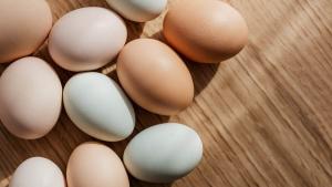 Today Eggs rate
