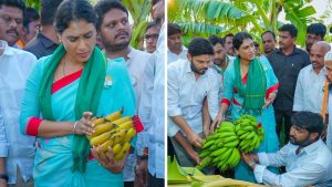 YS Sharmila Protest
