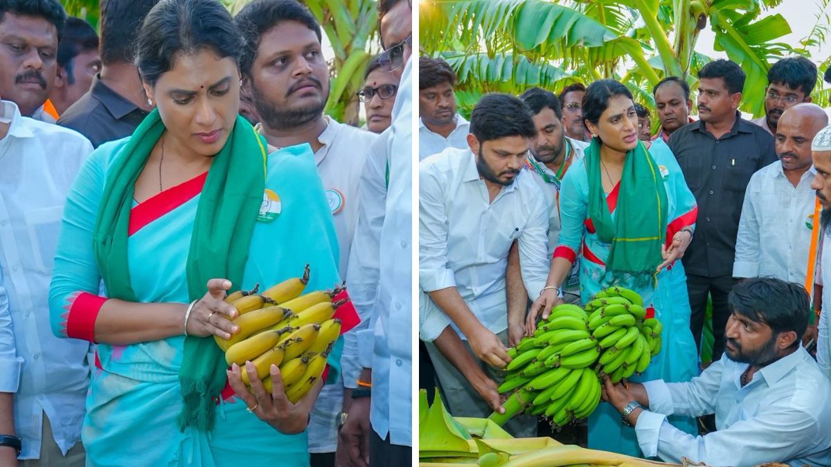 YS Sharmila Protest
