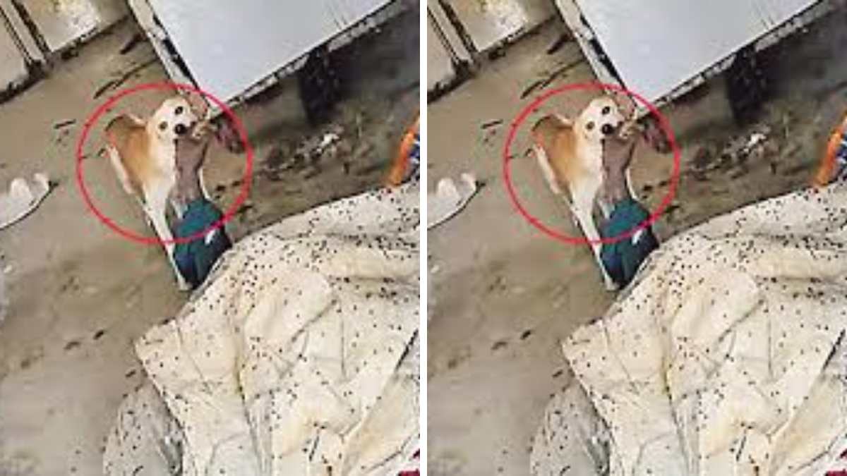 jadcherla Government Hospital