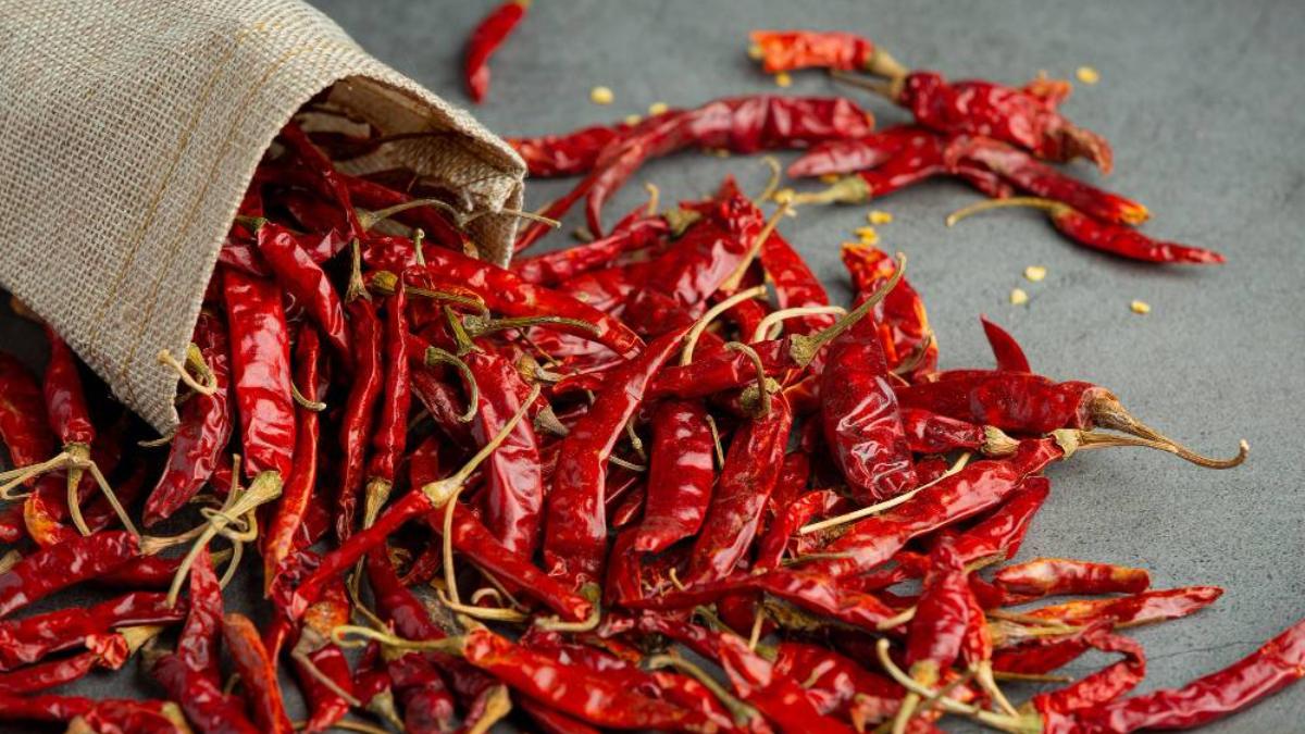 mirchi rate ap