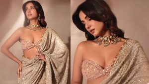 sonal chauhan latest hot photos