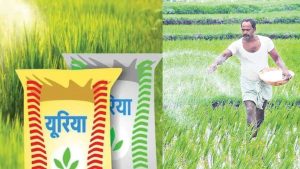 urea price India