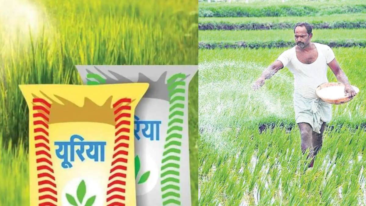 urea price India