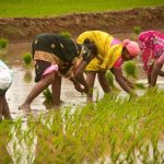 మహిళా రైతుల శక్తి 2026లో ప్రపంచ దృష్టి… భారత వ్యవసాయంలో మహిళల విప్లవం!