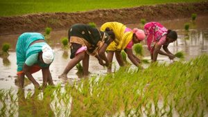 women farmers India