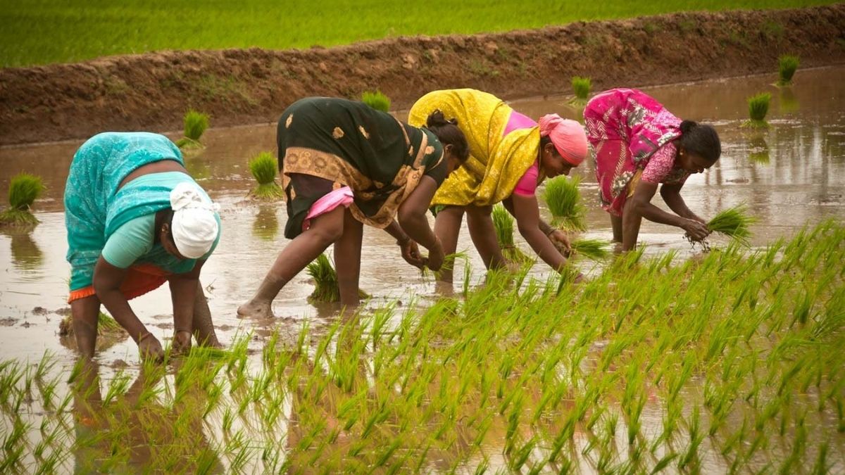 women farmers India
