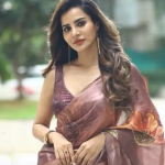 ఆషు రెడ్డి రూ.9.35 కోట్ల కేసు హైకోర్టుకు – FIR క్వాష్ పిటిషన్పై మే 4కి విచారణ